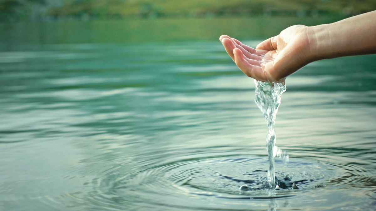 Impulsan innovación y liderazgo femenino en la conservación ambiental